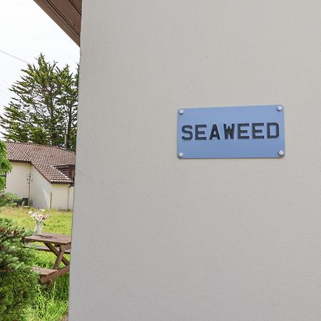 Seaweed Βίλα Sidmouth Εξωτερικό φωτογραφία