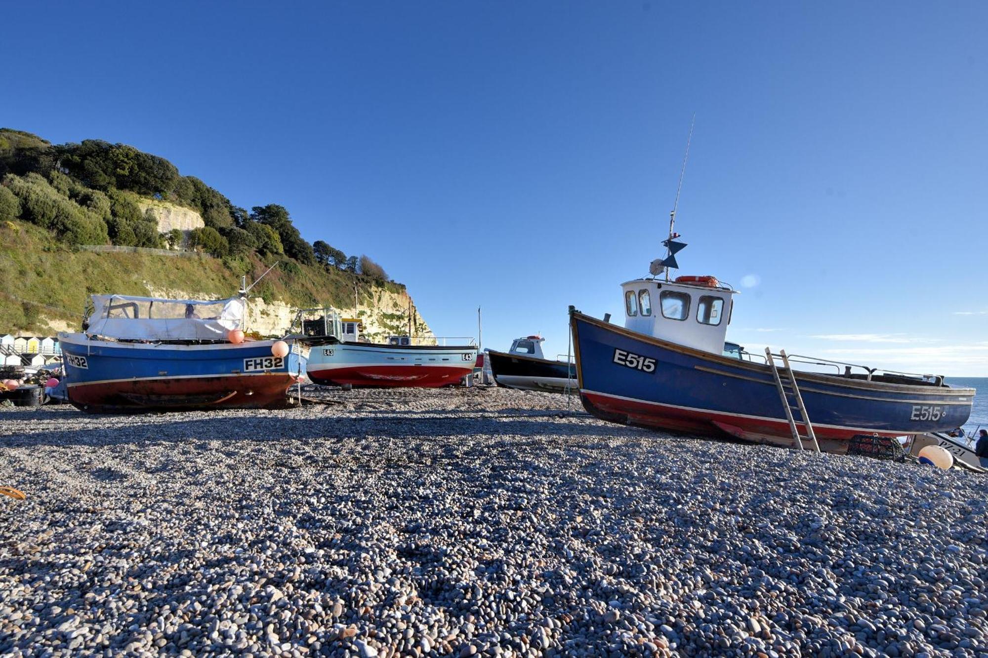 Seaweed Βίλα Sidmouth Εξωτερικό φωτογραφία